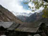 Himalaya_Kinnaur_Chitkul_7.JPG (244528 bytes)