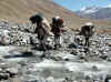 Himalaya_Kinnaur_Fauti-Lanak_11.JPG (313360 bytes)