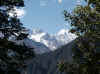 Himalaya_Manali-Rhotang_4.JPG (279474 bytes)