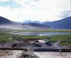 Tibet_Kutschi_1.jpg (125266 bytes)