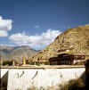 Tibet_LhasaSera_4.jpg (122976 bytes)