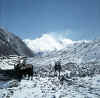 Himalaya_Khumbu_Gokyo_8.jpg (144926 bytes)