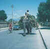 Nepal_Kathmandu_Elephant.jpg (48160 bytes)