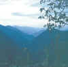 Sikkim.Bakhim.South.jpg (74887 bytes)
