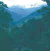 Sikkim.Tista.Lachen-Chungthang.jpg (74052 bytes)