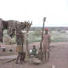 Namibia.Kavango.Tondoro3.jpg (40294 bytes)