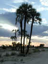 Namibia.Owambo.Omusati.Elim.Sunset2.jpg (75257 bytes)