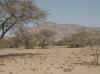 Namibia_Damara_Sesfontein_1.jpg (129089 bytes)