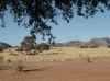 Namibia_Hardap_Sesriem_Camp_36_2.JPG (89411 bytes)