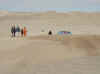 Namibia_Karas_Aus-L�deritz-Railway_Dune Stabilisation_1.jpg (40718 bytes)