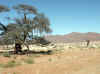 Namibia_Karas_District Road_707_5.jpg (85597 bytes)