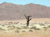 Namibia_Karas_District Road_707_6.jpg (80202 bytes)