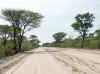 Namibia_Kavango_DistrictRoad_3403_1.jpg (87409 bytes)