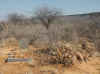 Namibia_Otjozondjupa_Waterberg_HereroGraves_6.JPG (303579 bytes)